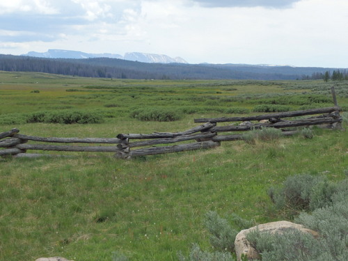 GDMBR: Old homestead styled fencing is probably 100 years old.